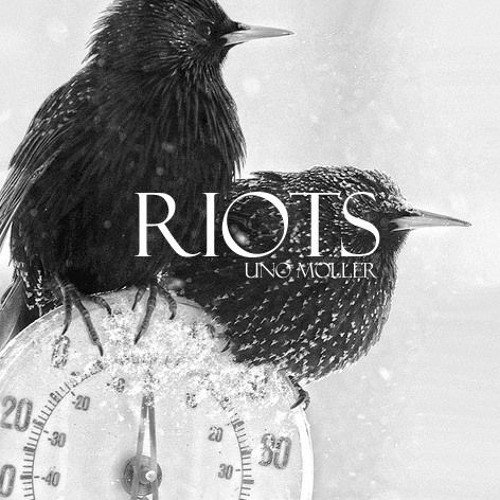 Riots (with Lucy Swann)