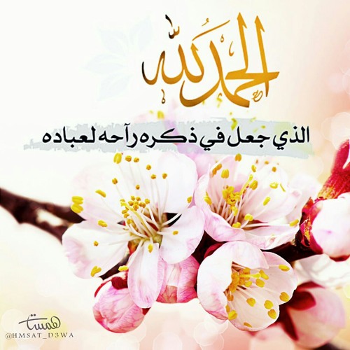 القارئ منصور السالمي : آيات من سورة البقرة