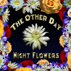 Body Surfer-Another Cha Cha Cha