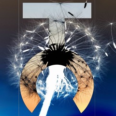 Dandelion (Original Mix)