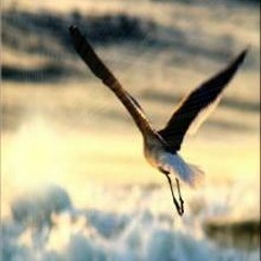 انشودة خذ الشوق العظيم