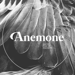 ADV709 - πλήκτρα - Anemone Recordings
