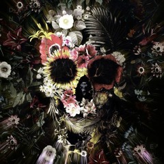 Yeray Marrero - Basic (Orginal Mix)