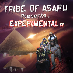 4. SYMMETRY OF THE PHI Ft. Kaimbr, Born Unique, K - Beta, Waze & Watusi