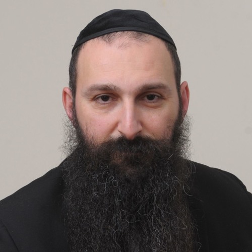 Questions about Rabbi Anava's Near Death Experience