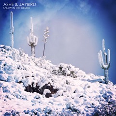 Ashe X Jay Bird - Night Still Movin' (Prod. by BG)