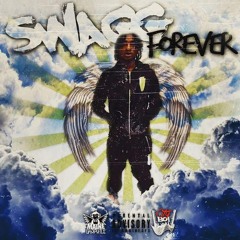 Swagg Forever (feat. 3 Problems) by Lou Kang & Radio Rory