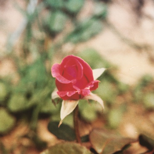 rorschach. (prod. by pictochat)