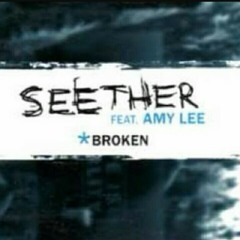 Sheeter feat Amy Lee - Broken (Cover by ergun feat qko_moshi)