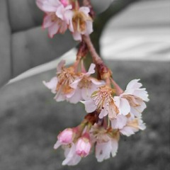 Just be held-Casting Crowns