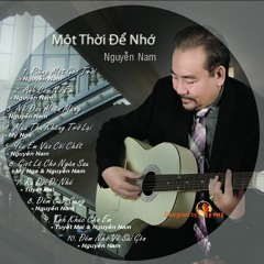 Nỗi Đau Muộn Màng -  Nguyễn Nam (Tuần 2 tháng 5)