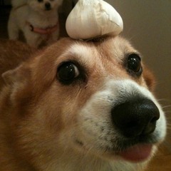 Hyper Realistic