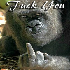 Fuck You