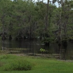 Louisiana Summertime