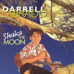 Darrell Labrado - She's My Shaka Baby