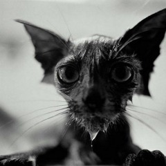 Jólakötturinn (The Christmas Cat).