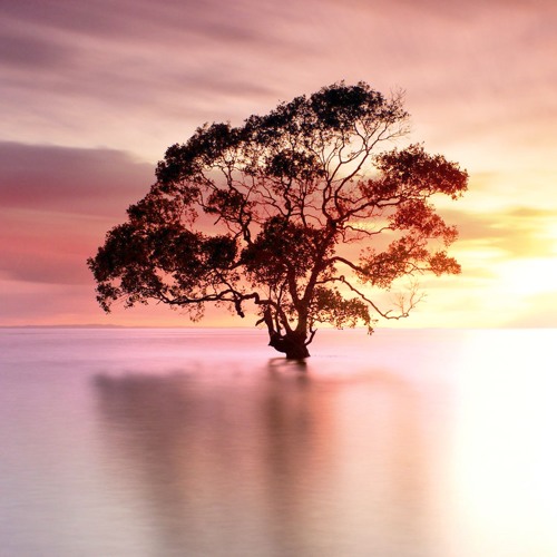 Stutter Dream - Sunrise Remix (Joel Kanning)