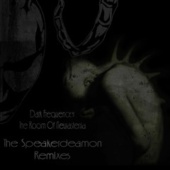 Dark Frequencer - The Room Of Neurastenia (Speakerdeamon Remix)