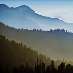 Ambient B In Nature EXTENDED