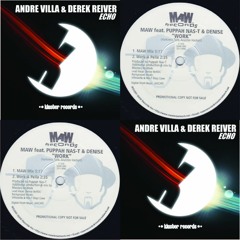 Echo Work - Derek Reiver Mash-Up