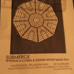 Live at "BUSH BASH" (Tokyo, Japan) 04 sept. 2013