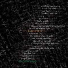 Three Cane Whale - Moon In A Bottle