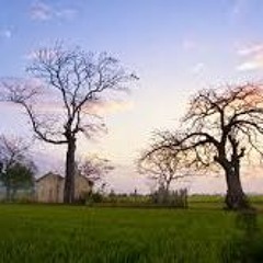 Suong Trang Mien Que Ngoai