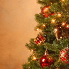 Toomas Anni - Oh, kuusepuu