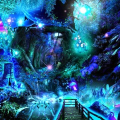 a walk in the strange forest dj set by chien de la classe