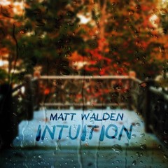 Intuition