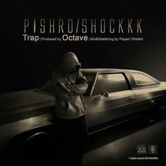 Reza Pishro - Shock