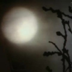 TERTIARY TONES (Winter Solstice 2015) [LIVE] @ Jungletrain