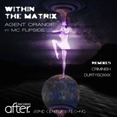 Agent Orange Ft MC Flipside - Within The Matrix (Dub Mix) FREE DOWLOAD