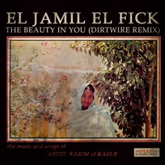 Abdel Karim El Kably - The Beauty In You (Dirtwire Remix for Sudan Charity)
