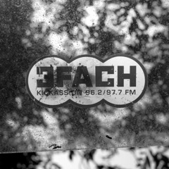 Radio 3FACH Tinnitus 2015