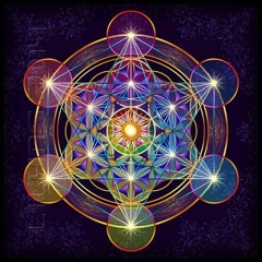 Psy Progressive