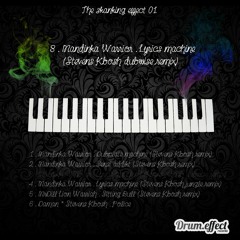 3_Lyrics Machine (dubwise) - Mandinka Warrior (Stevens Kbosh remix) ''The Skanking Effect 01''