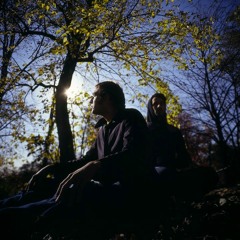 The American Analog Set - The Green Green Grass (Telefon Tel Aviv Remix Extended)