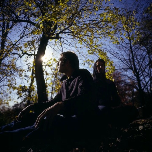 The American Analog Set - The Green Green Grass (Telefon Tel Aviv Remix Extended)