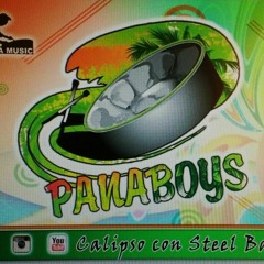 PANABOYS MEDLEY PAL BAILADOR 2016