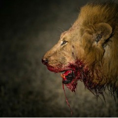 Lil Wayne Grinding Freestyle.wma