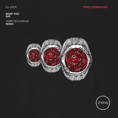 DJ Jock - What you say (Tomy DeClerque RMX) - Phobiq