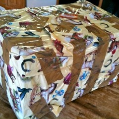 Trouble Wrapping - Beastie Boys vs The Waitresses
