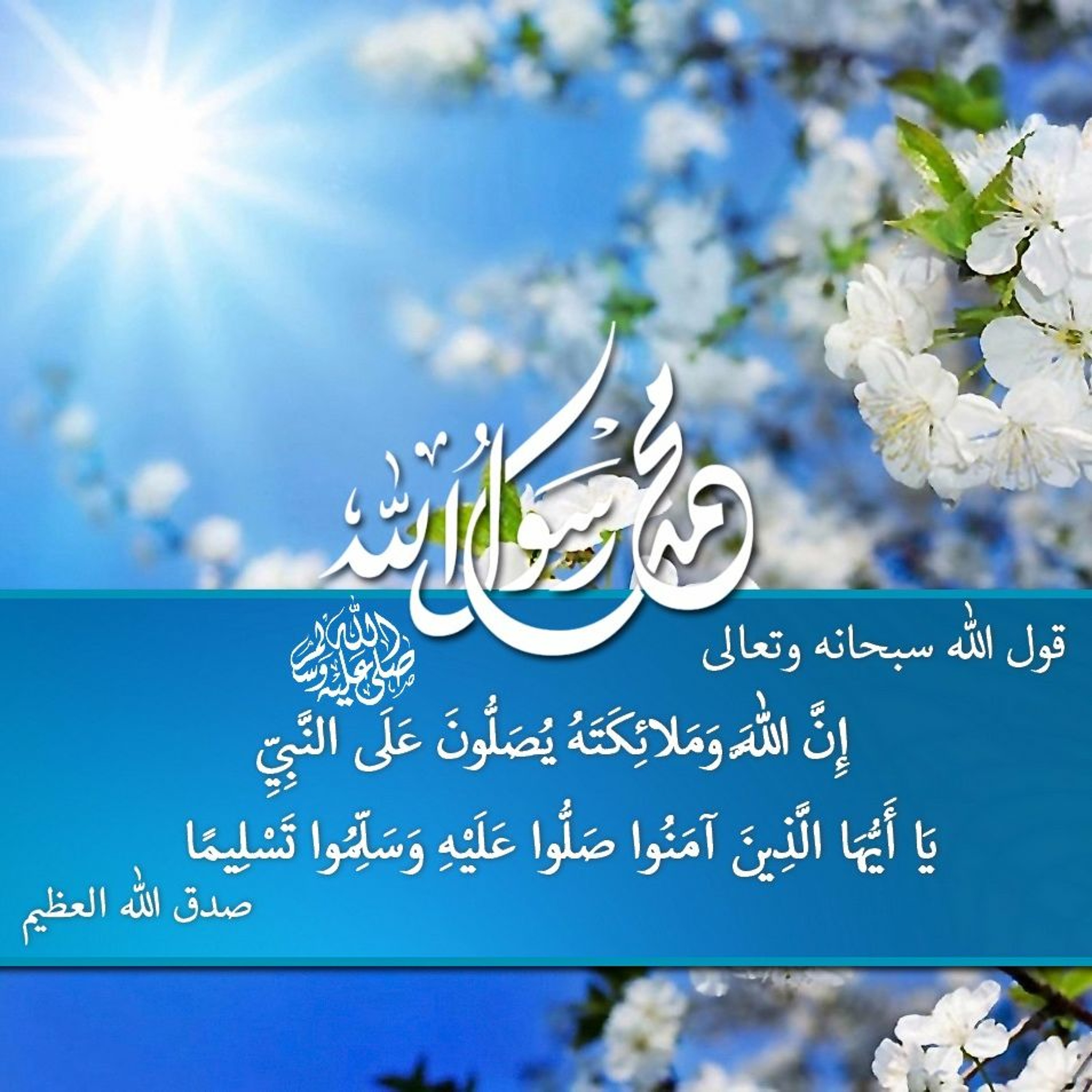 newmohamedamine