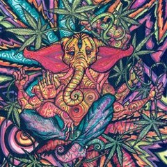 Trip