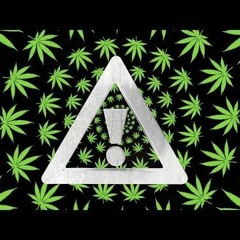 Flosstradmus - Mosh Pit (Illnoize Remix)