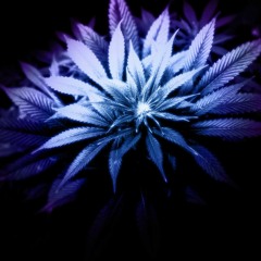 PURPLE {ft. 2KFOOZIE} [Prod. J. Dilla]