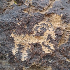 Nutcracker 2 - Russian Dance 2