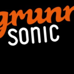 Grunnsonic 2016