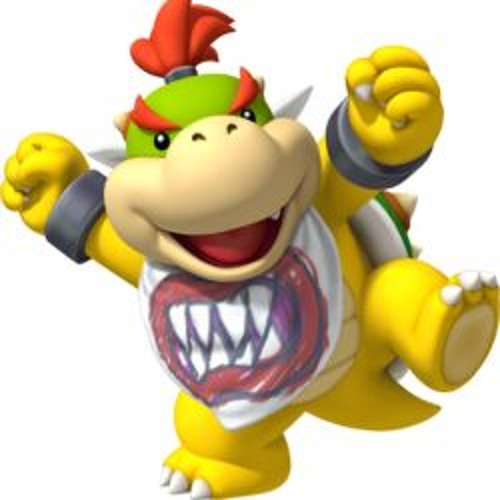 Bowser Jrs finna hurt you